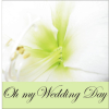 Air On the G String - Arr & Novi Novog