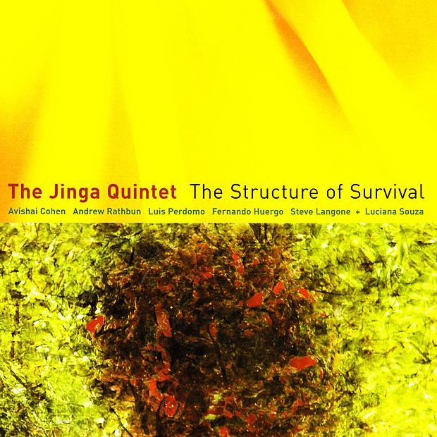 Обложка альбома «The Structure of Survival» — The Jinga Quintet