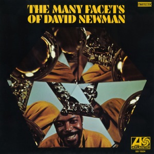 The Many Facets of David Newman