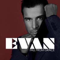 Fall from Grace (Remixes) - Evan