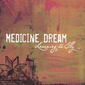 Medicine Dream - Walk in Beauty
