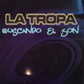 Mi Son
