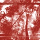 Future Tropic Remix Single
