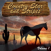 You're Looking at Country artwork