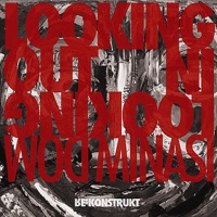 Looking Out Looking in - Dom Minasi