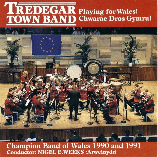 Playing for Wales! (Chwarae dros Gymru!)