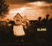 The Bellwether Project - Slang