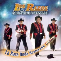 La Raza Anda Acelerada - Los Razos