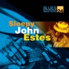 Blues Masters, Vol. 24