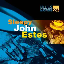 Blues Masters, Vol. 24 - Sleepy John Estes