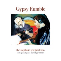Gypsy Rumble - The Stephane Wrembel Trio