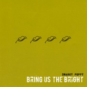 Bring Us the Bright artwork