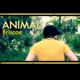Animal Single