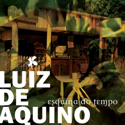 Luiz de Aquino