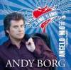 Andy Borg - Angelo Mio 2011 (Radio Mix Karaoke)