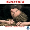 Erotica Vol. 2 - Sensual Flavoured Grooves, 2010