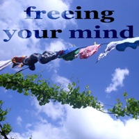 Freeing Your Mind - Cristian Paduraru