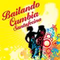 Cisne cuello negro, cisne cuello blanco