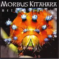 Intro (MORBUS KITAHARA) — Morbus Kitahara