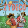 If It's Good for the Gander (Best of Zydeco)