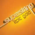 Epic Gold(Electro Radio Mix)
