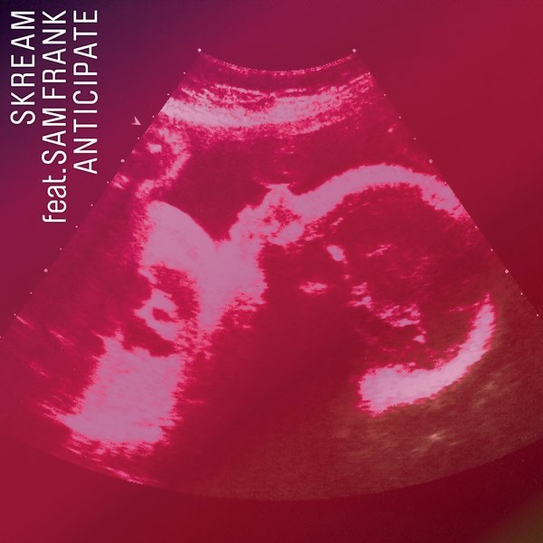 Anticipate (feat. Sam Frank) - Single