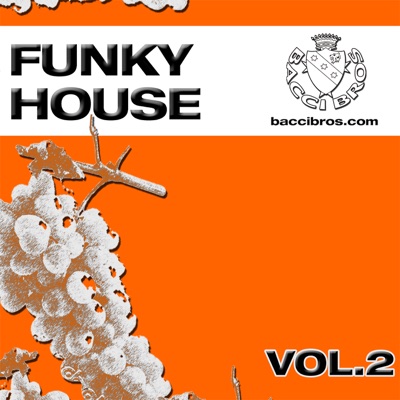 Funky House, Vol. 2
