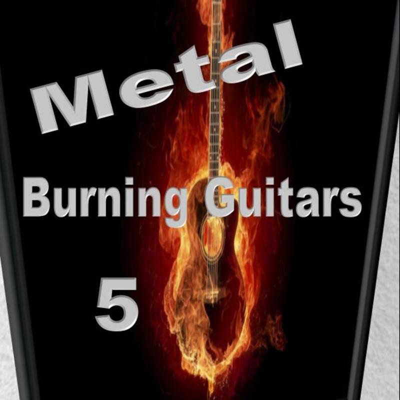 Burning Guitars 5