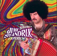 The Sensational Jimi Shandrix Experience by The Sensational Jimi Shandrix Experience on Apple Music