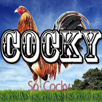 So Cocky - Single