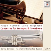 Trumpet Concerto: Rondo artwork