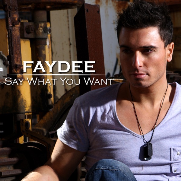 Say What You Want