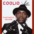 Fantastic Voyage (Re