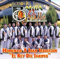 Homenaje a Joan Sebastian 