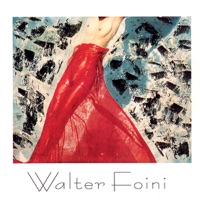 Walter Foini - Faccia Di Luna