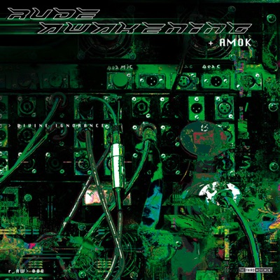 Divine Ignorance - R_AW 008