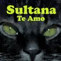 Te Amo (Caliente Mix)