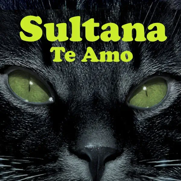 Te Amo (Madgipsy mix) — Sultana