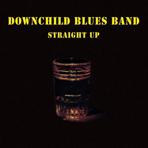 I Got Everything I Need (Almost) — Downchild Blues Band