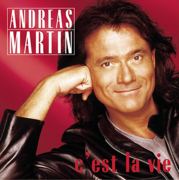 Amore Mio - Andreas Martin