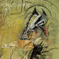 Hi Fi Plane Ride — Calico Horse