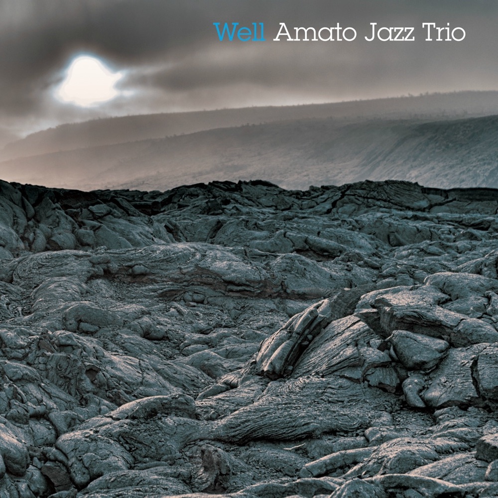 Обложка альбома «Well» — Amato Jazz Trio
