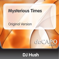 Mysterious Times - Single - DJ Hush