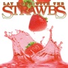 Lay Down With the Strawbs, 2008