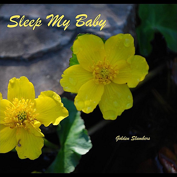 Sleep My Baby - Single