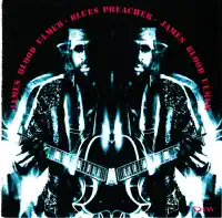 Who Let The Cat Out Of The Bag — James Blood Ulmer