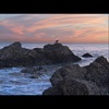 How Do You Comfort? - Single