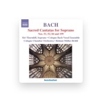 Cologne Bach Vocal Ensemble
