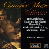 Chamber Music And Instrumental Collection artwork