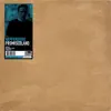 Wippenberg - Promisedland (Nic Chagall Remix)
